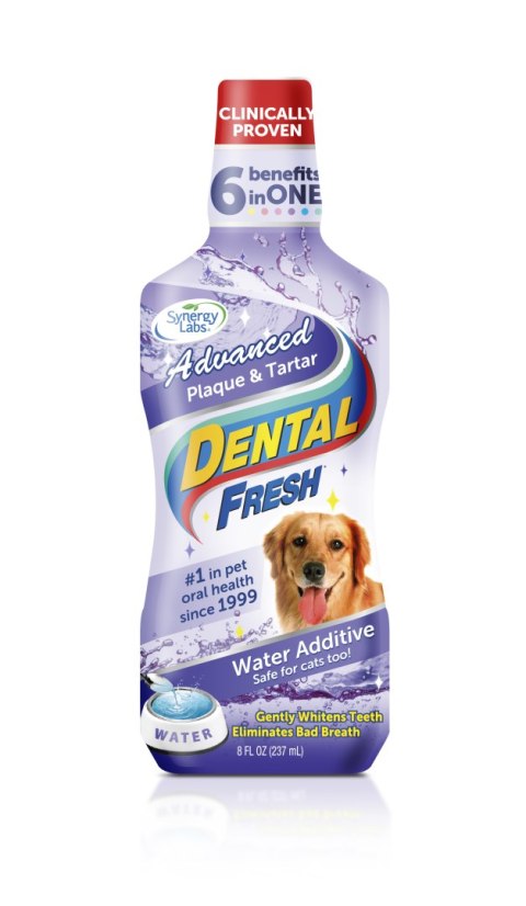 Dental Fresh Kamień i Osad SynergyLabs
