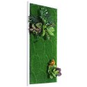 Garden Point - Bello Horizonte 50x100 - ogród ścienny 3D Garden Point