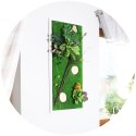 Garden Point - Bello Horizonte 50x100 - ogród ścienny 3D Garden Point