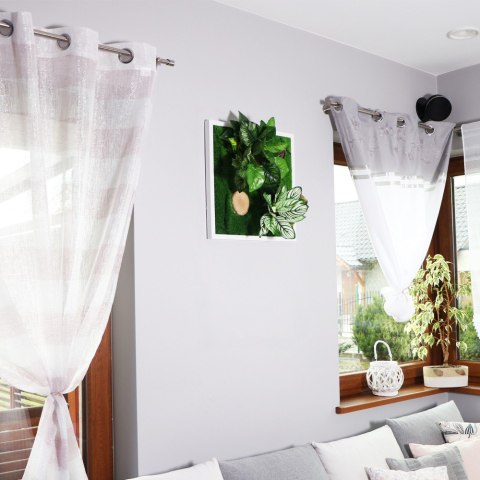 Garden Point - Bello Horizonte 50x50 - ogród ścienny 3D Garden Point
