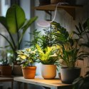 Kruger Meier Velluto S-Line - lampa LED do akwarium 10l - 40l Kruger Meier