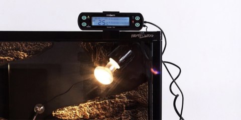 Repti-Zoo THC Deluxe Termostat higrostat z programatorem Repti-Zoo