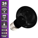 Komodo Moonlight 75W - nocna żarówka grzewcza Komodo
