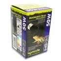 Komodo Moonlight 75W - nocna żarówka grzewcza Komodo