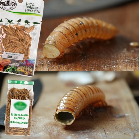 ProBugs Eco-Fresh Scolopendra Centipede 2pcs - świeże skolopendry ProBugs