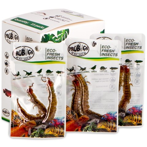 ProBugs Eco-Fresh Scolopendra Centipede 2pcs - świeże skolopendry ProBugs