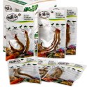 ProBugs Eco-Fresh Scolopendra Centipede 2pcs - świeże skolopendry ProBugs