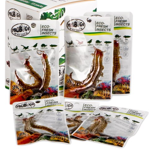 ProBugs Eco-Fresh Scolopendra Centipede 2pcs - świeże skolopendry ProBugs