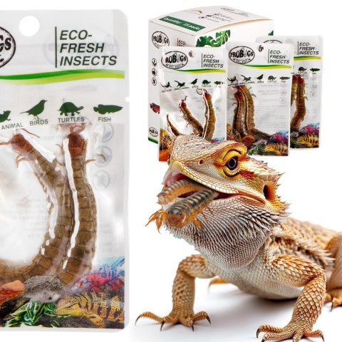 ProBugs Eco-Fresh Scolopendra Centipede 2pcs - świeże skolopendry ProBugs