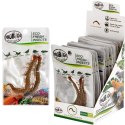 ProBugs Eco-Fresh Scolopendra Centipede 2pcs - świeże skolopendry ProBugs