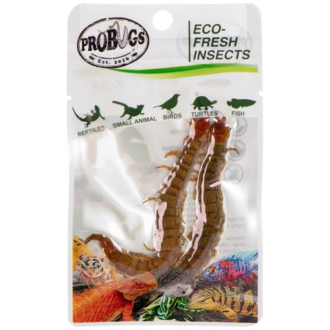 ProBugs Eco-Fresh Scolopendra Centipede 2pcs - świeże skolopendry ProBugs