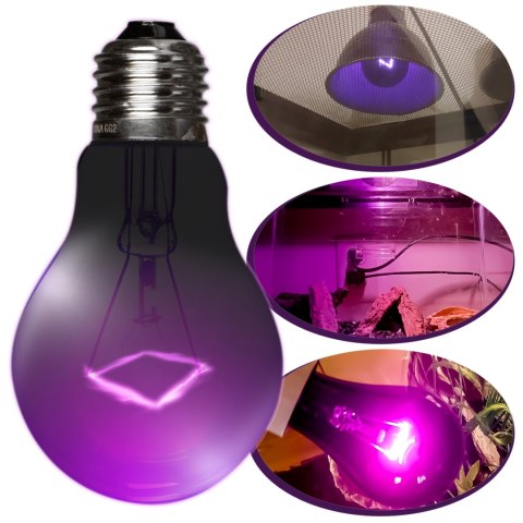 Repti-Zoo Night Heat Bulb 50W - żarówka grzewcza nocna Repti-Zoo
