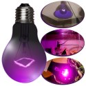 Repti-Zoo Night Heat Bulb 75W - żarówka grzewcza nocna Repti-Zoo