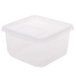 Terrario Insect Box Compact 12x12x7cm Terrario