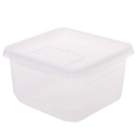 Terrario Insect Box Compact 12x12x7cm Terrario