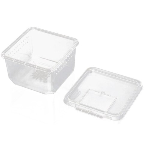 Terrario Insect Box Compact 12x12x7cm Terrario