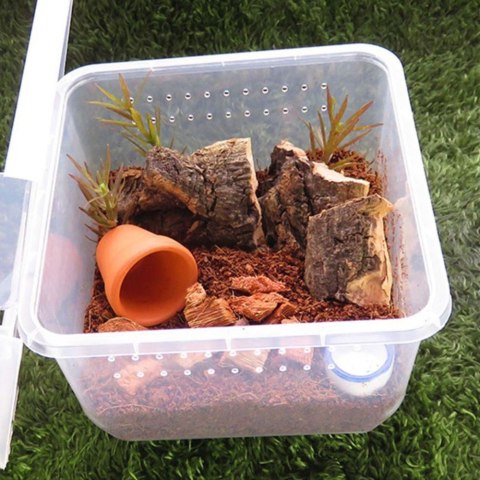 Terrario Insect Box Compact 12x12x7cm Terrario