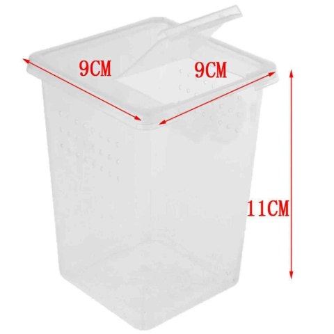 Terrario Insect Box High - plastikowe terrarium 9x9x11cm Terrario
