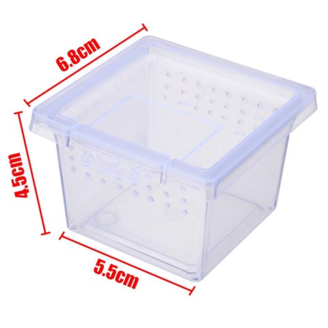 Terrario Insect Box Mini - terrarium dla owadów 6,5 x 6,5 x 4,5 cm Terrario