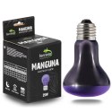 Terrario Manguna Moonlight Lamp - żarówka nocna 25W Terrario