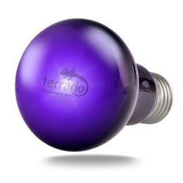 Terrario Manguna Moonlight Lamp - żarówka nocna 25W Terrario