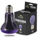 Terrario Manguna Moonlight Lamp - żarówka nocna 50W Terrario