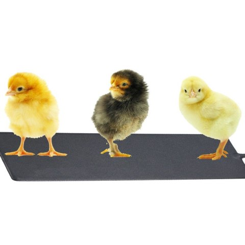 Terrario Repti-Pad PVC 10W - wodoodporna mata grzewcza Terrario