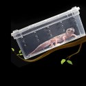 Terrario Terrarium Faunarium 26x18x13cm Terrario