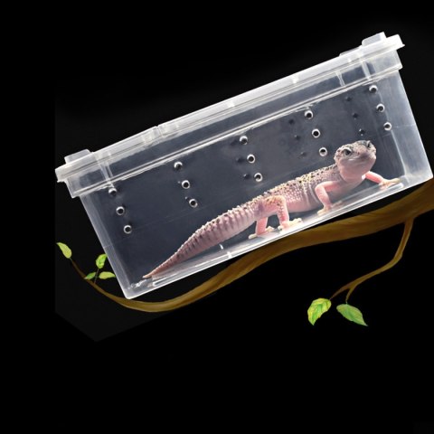 Terrario Terrarium Faunarium 26x18x13cm Terrario