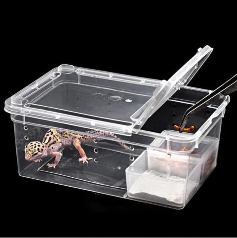 Terrario Terrarium Faunarium 26x18x13cm Terrario