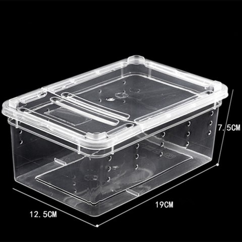 Terrario Terrarium Faunarium 33x22x15cm Terrario