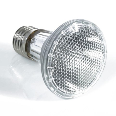 Komodo Halogen 50W - halogen grzewczy 3w1 Komodo