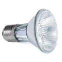 Repti-Zoo Halogen grzewczy z UVA 50W Repti-Zoo