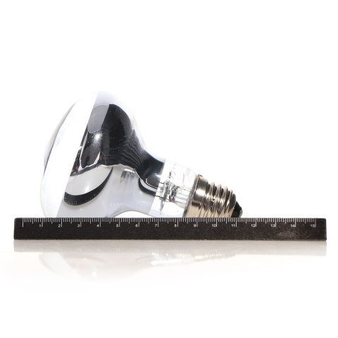 Repti-Zoo Neodymium Daylight 100W - żarówka grzewcza neodymowa Repti-Zoo