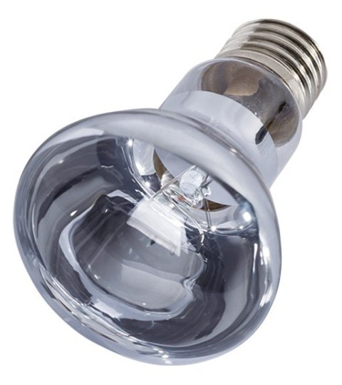 Repti-Zoo Neodymium Daylight 50W - żarówka grzewcza neodymowa Repti-Zoo