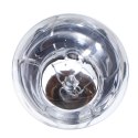 Repti-Zoo Neodymium Daylight 50W - żarówka grzewcza neodymowa Repti-Zoo