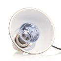 Repti-Zoo Neodymium Daylight 50W - żarówka grzewcza neodymowa Repti-Zoo