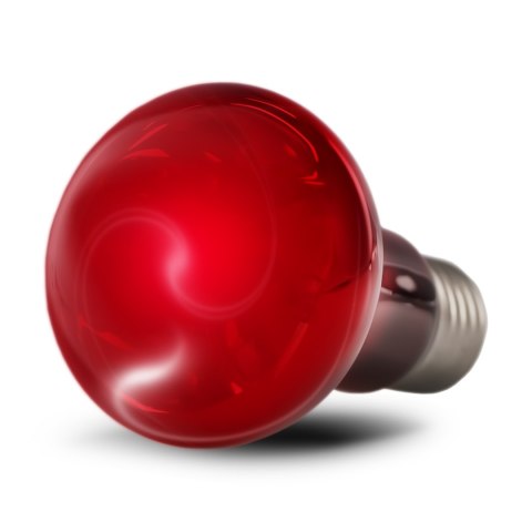 Resun Infrared Spot Lamp 25W - żarówka podczerwona Resun