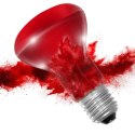 Resun Infrared Spot Lamp 25W - żarówka podczerwona Resun