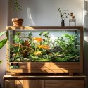 Terrario Amantea 2.0 10W - mata grzewcza z termostatem Terrario