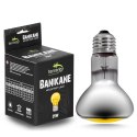 Terrario Banikane Neodymium Light - żarówka grzewcza neodymowa 25W Terrario