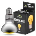 Terrario Banikane Neodymium Light - żarówka grzewcza neodymowa 25W Terrario