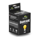 Terrario Banikane Neodymium Light - żarówka grzewcza neodymowa 25W Terrario
