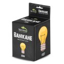 Terrario Banikane Neodymium Light - żarówka grzewcza neodymowa 25W Terrario