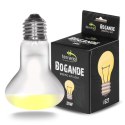 Terrario Bogande Basking Sun Light - żarówka grzewcza 25W Terrario