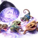 Terrario LUNOONE 2.0 - lampa do terrarium Terrario