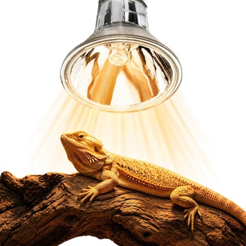 Terrario Nadara Pro 50W - halogen grzewczy do terrarium Terrario