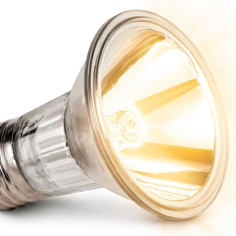 Terrario Nadara Pro 50W - halogen grzewczy do terrarium Terrario