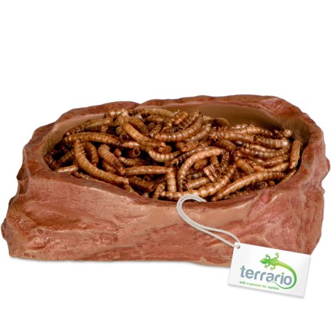 Terrario Natural Bowl M - Miska do Terrarium 11,5x9x3 cm Terrario