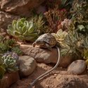 Terrario Premium Repti Cable 15W - wodoodporny kabel grzewczy do terrarium 5,5m Terrario